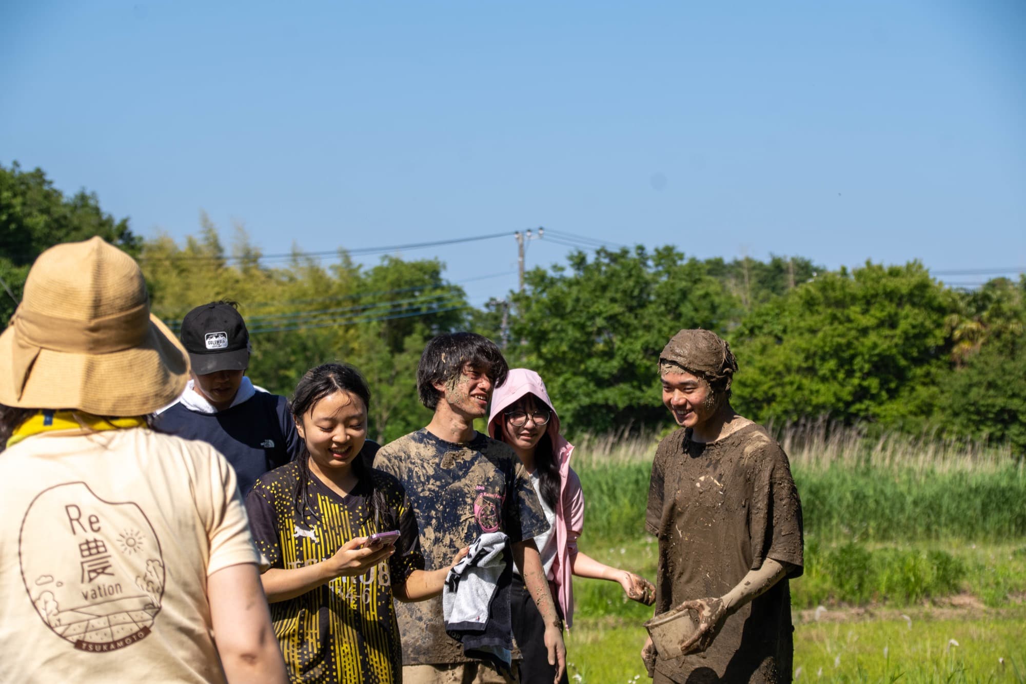 田んぼいっぱいに並んで田植えをする参加者たち