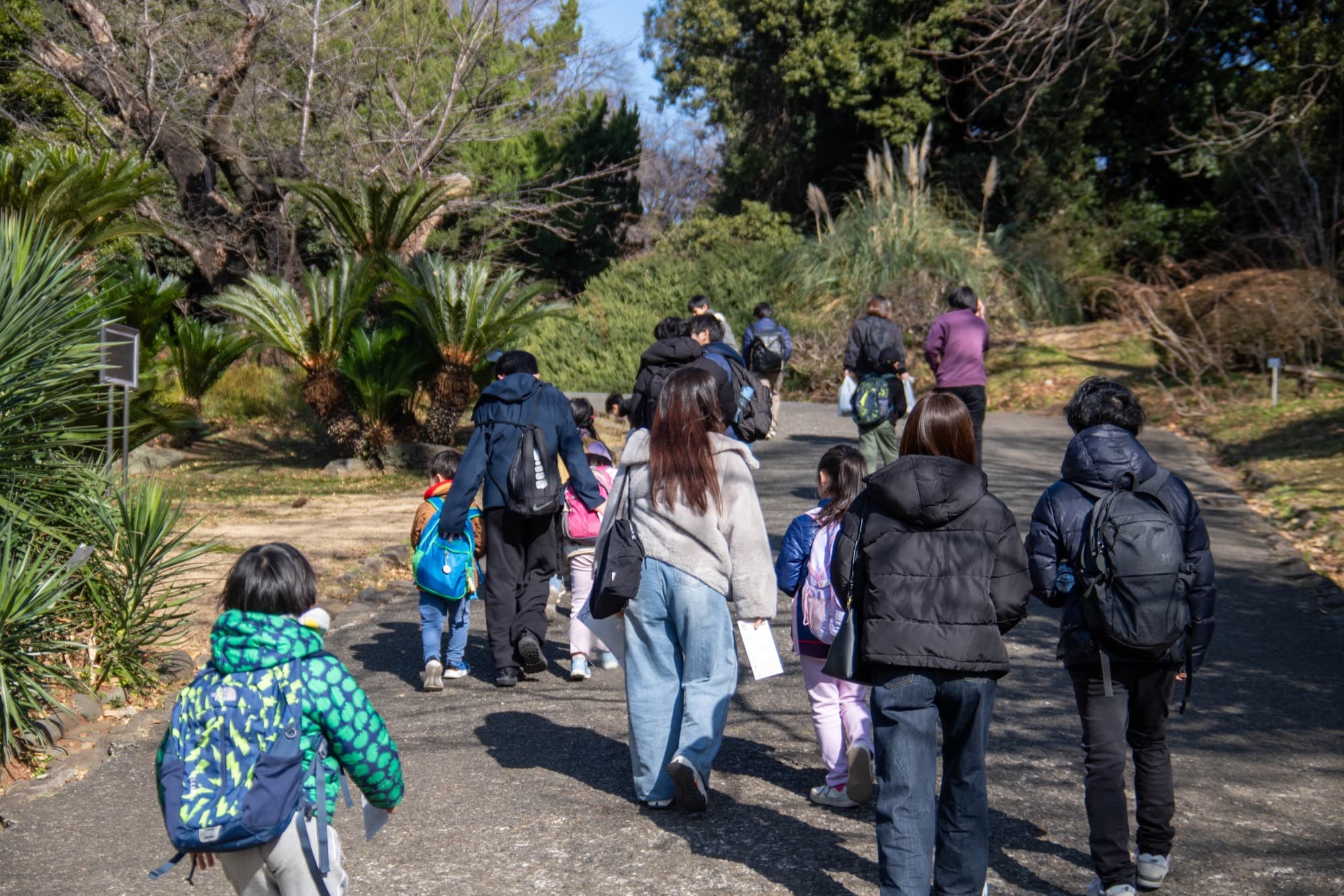 東京科学大学の学生と子どもたちが自然の中を歩く活動の様子