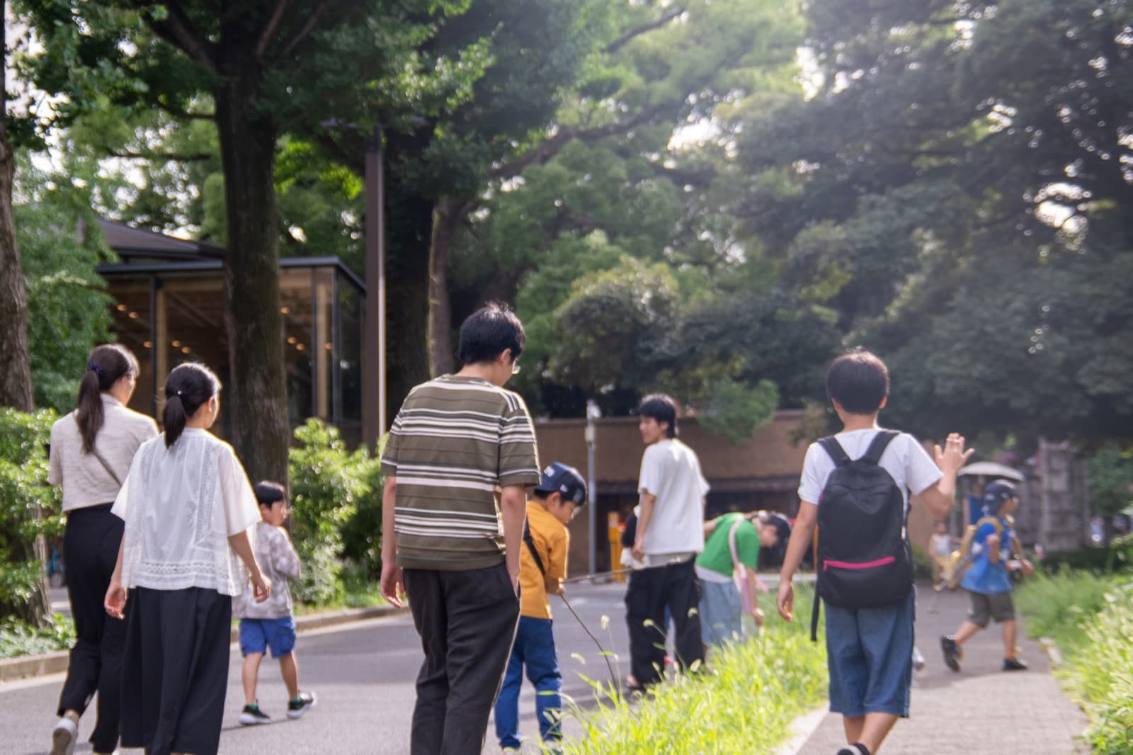 夕方のキャンパスの並木道を歩く家族連れ
