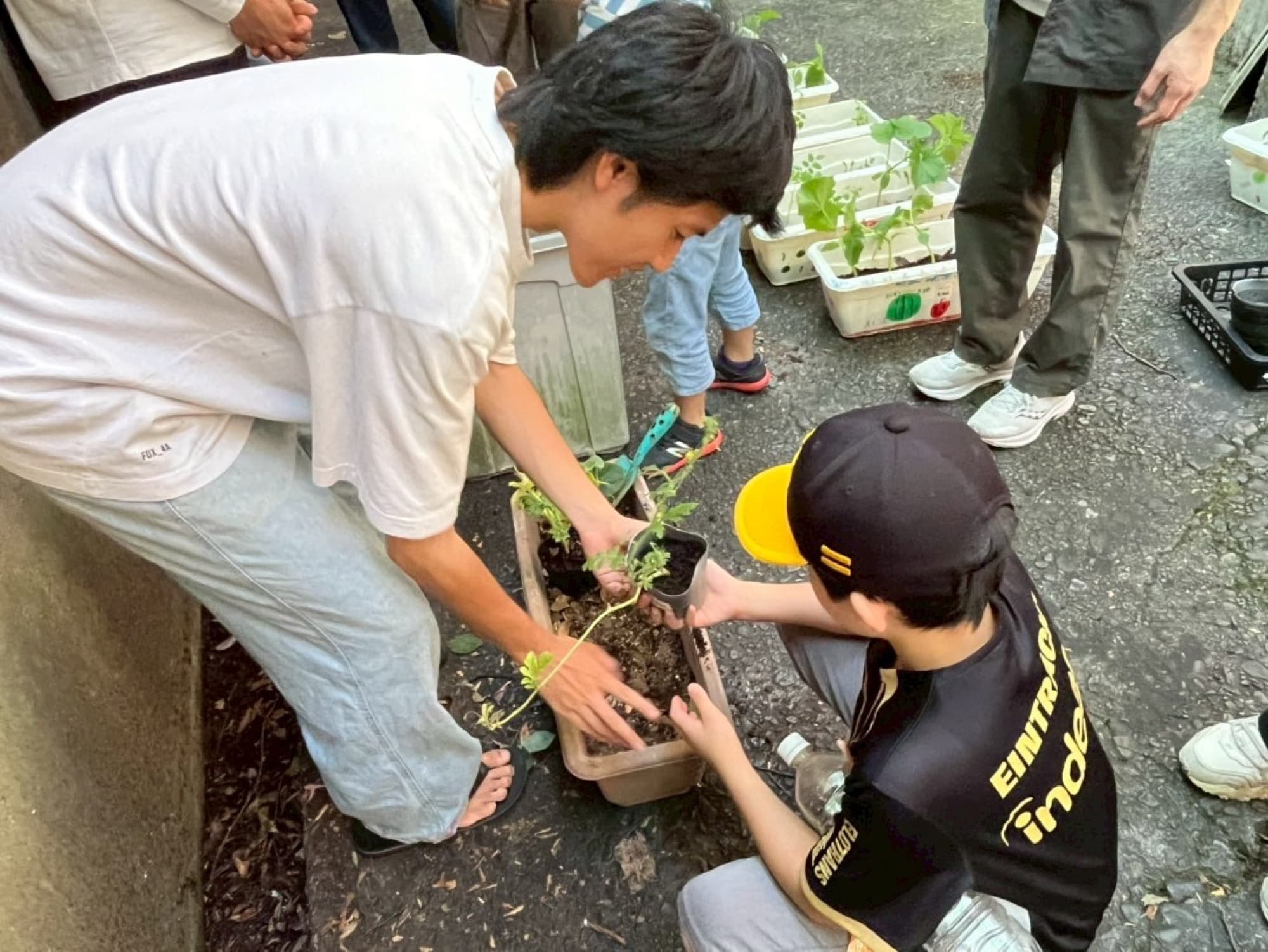 プランターに土を入れて植物を育てる親子