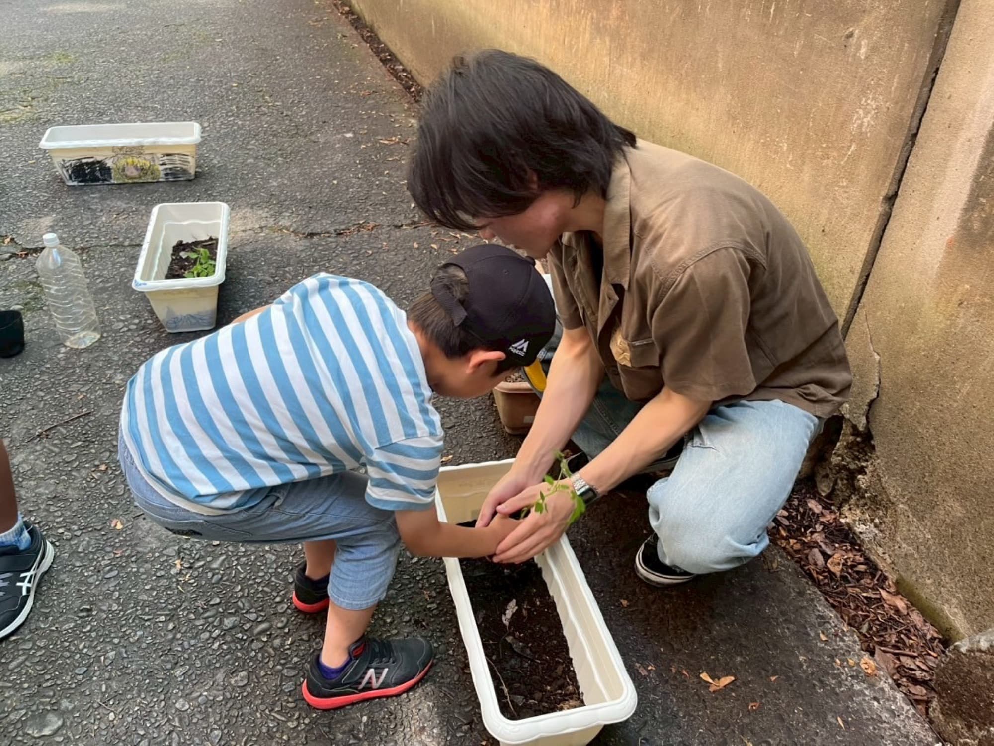 親子でプランターの植物を植え替える様子
