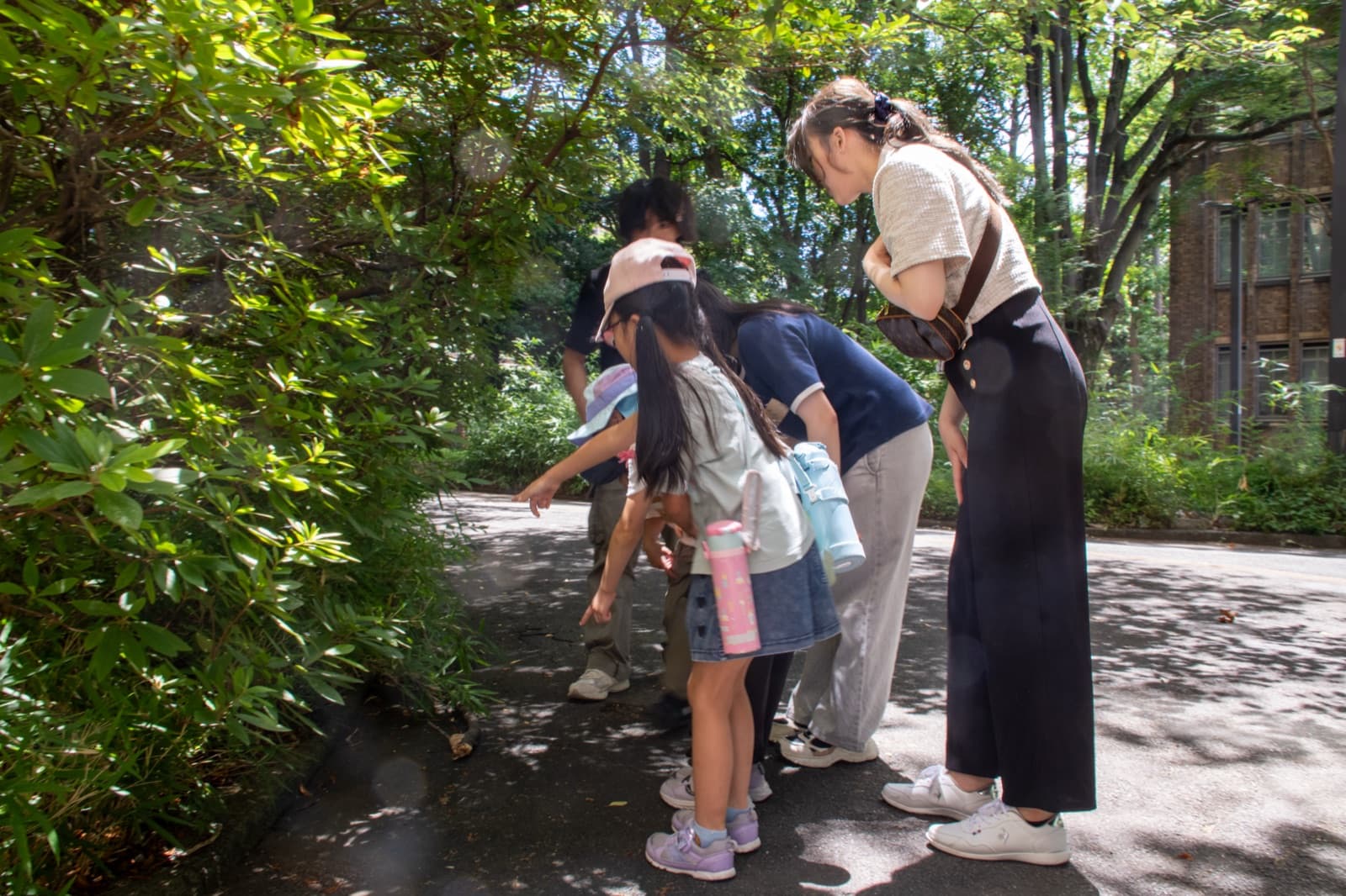 植え込みの生きものを子どもと一緒に観察する大学生スタッフ