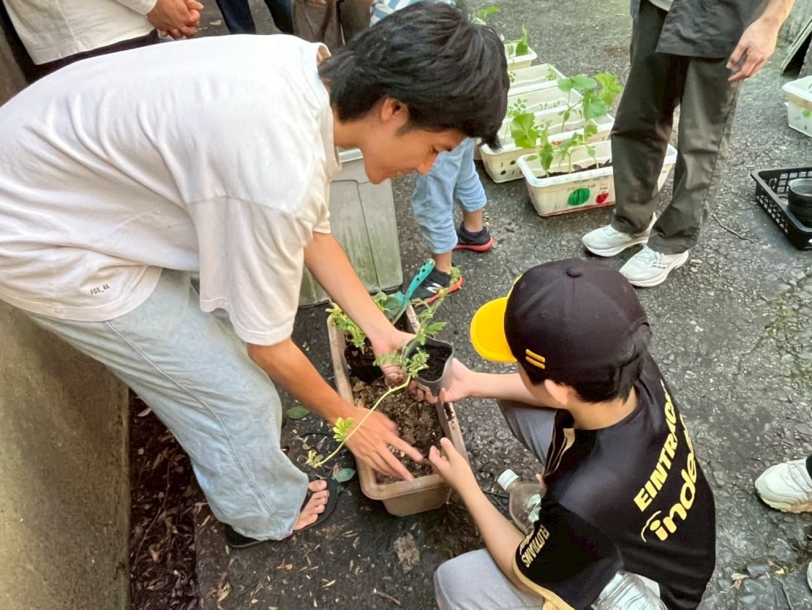 苗をポットに植える大学生と子ども