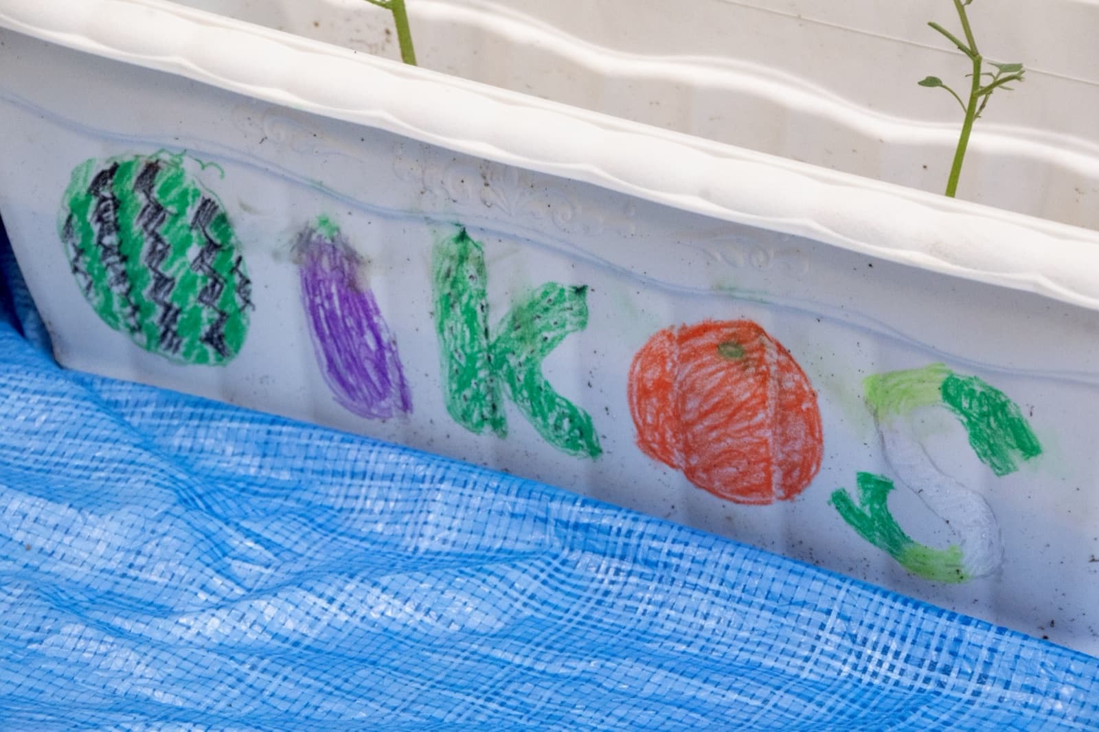 子どもたちがプランターに描いた「OIKOS」の文字と野菜の絵