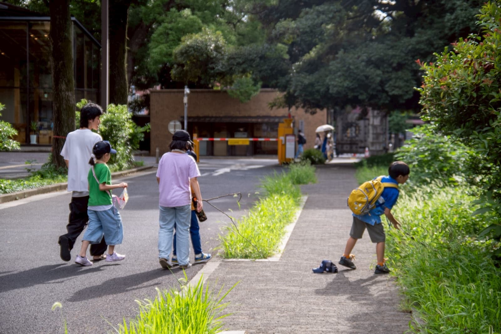 木々に囲まれた道を歩く子どもたちの後ろ姿