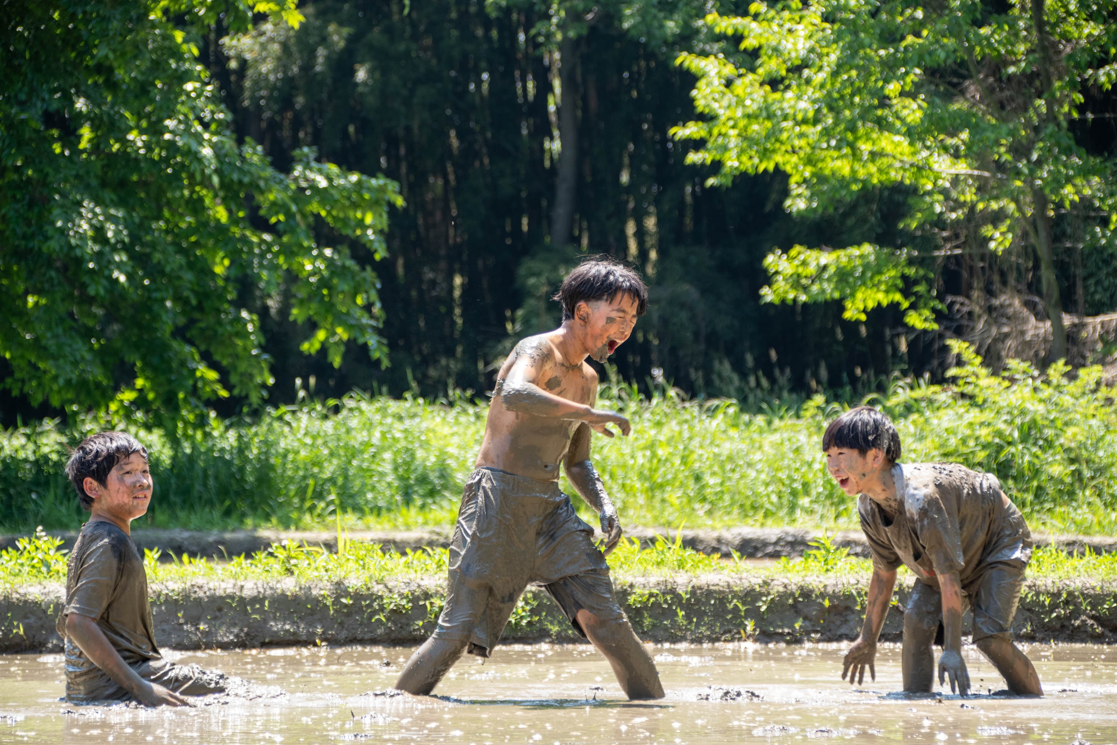 水田の中で、子どもたちが水や泥に触れながら体を動かしている