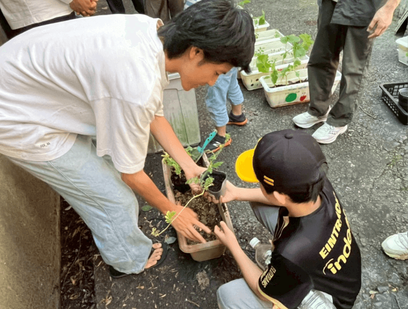 子どもと大人が一緒に苗を植えている